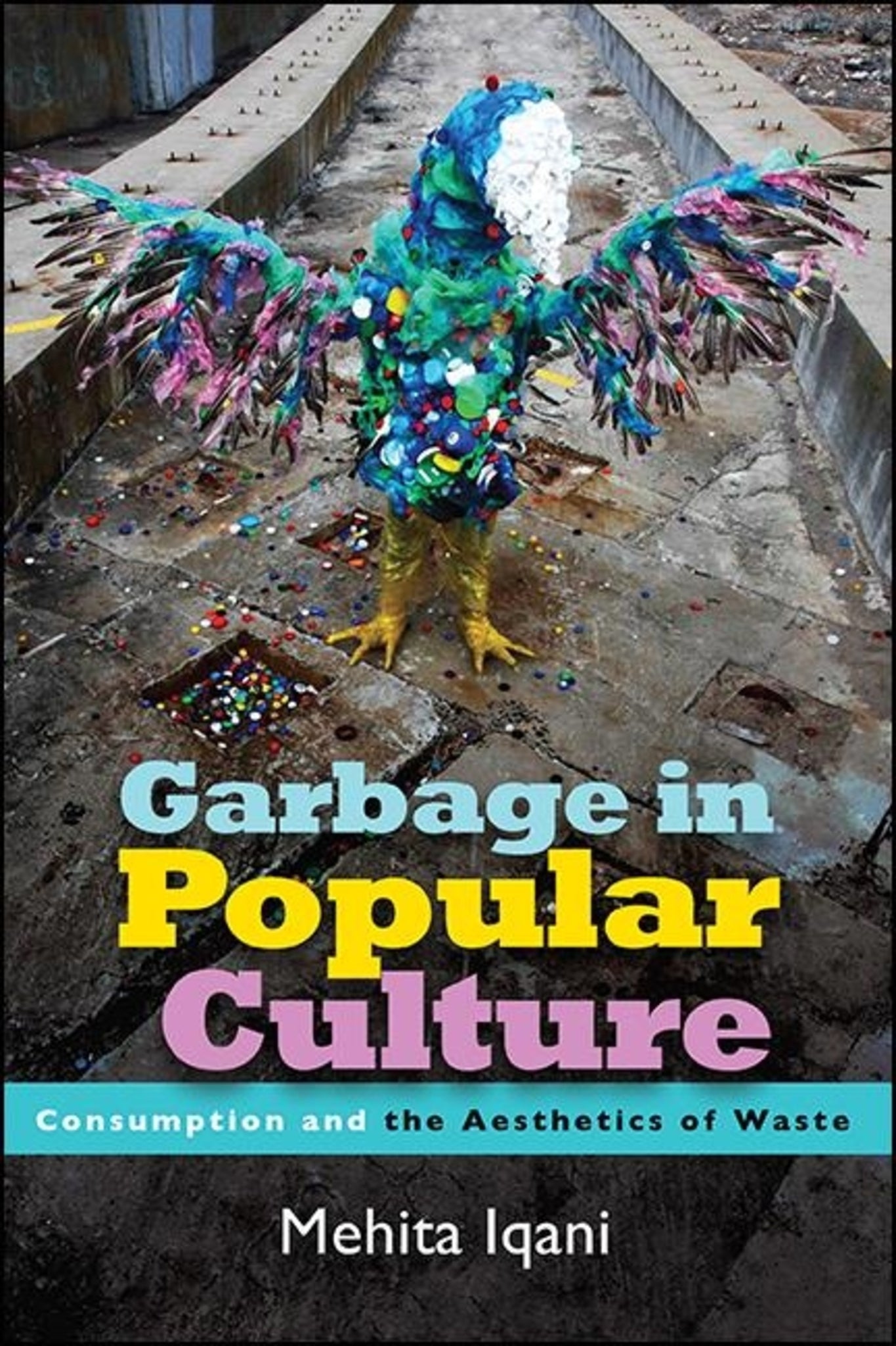 Cover image for Garbage in Popular Culture ISBN 9781438480183